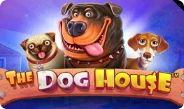 Lizaro Casino – The Dog House
